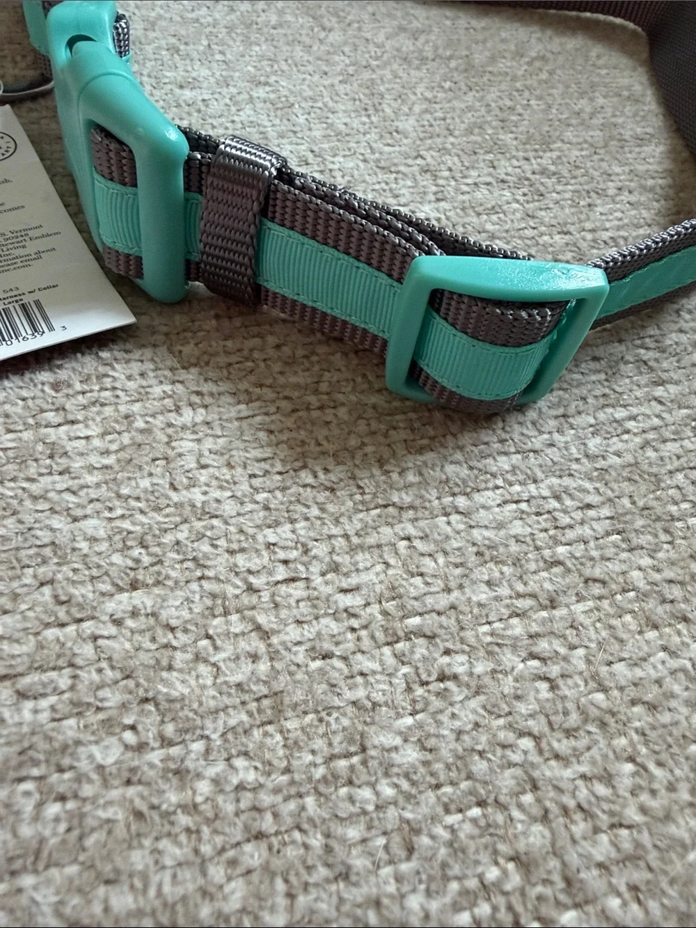 NWT Martha Stewart Mint and Gray Adjustable Nylon Dog Collar w/ Teal Snap Buckle